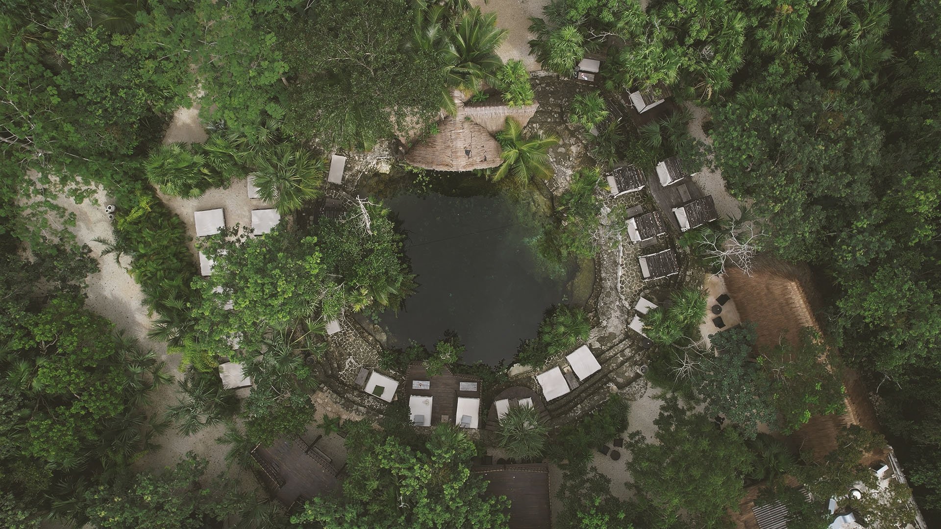 vesica tulum